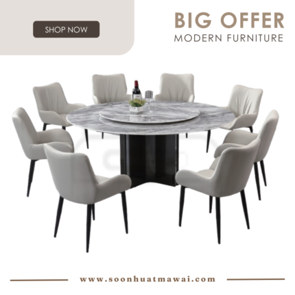 DT236+1500 + 248 ZQ DINING SET 1+8