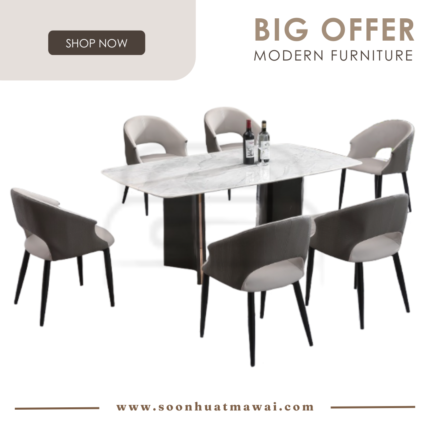 DT-216+8014 + 245 ZQ DINING SET 1+6