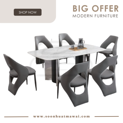 DT713+9016 + 243 ZQ DINING SET 1+6