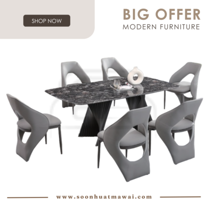 DT-217+9016 + 243 ZQ DINING SET 1+6