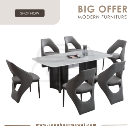 DT-221+9016 + 243 ZQ DINING SET 1+6