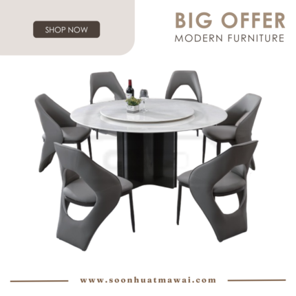 DT236+1350 + 243 ZQ DINING SET 1+6