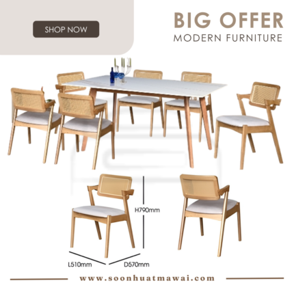 WL003+M002 + SK222 DINING SET 1+6 (TABLE 140CM/160CM)(M&N)