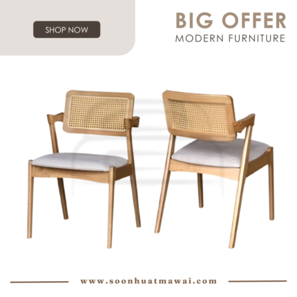 SK-222 DINING CHAIR (M&N)