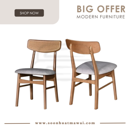 SK311 DINING CHAIR (M&N)