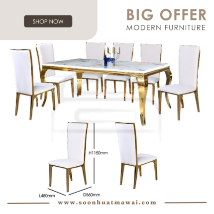 CT-53 (MARBLE TOP) + DC133 DINING SET 1+8 (M&N)