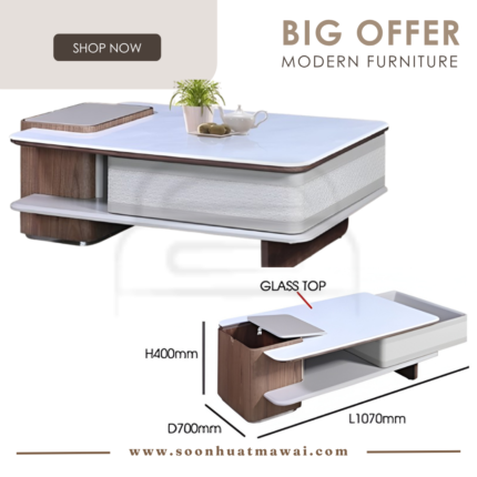 C528 COFFEE TABLE (M&N)