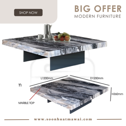 CT207 COFFEE TABLE (M&N)