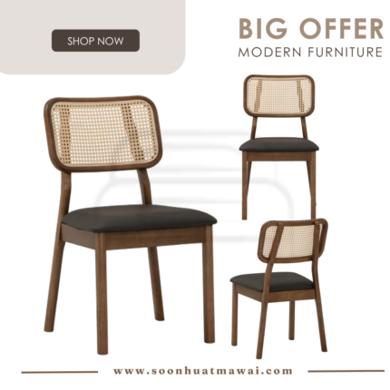 BODIE DINING CHAIR 109/526 (HINLIM)