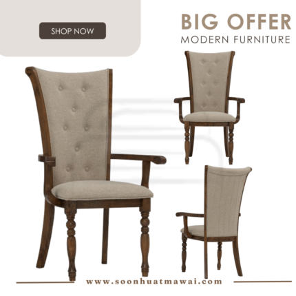 SARIA ARM CHAIR 109/6184 (HINLIM)