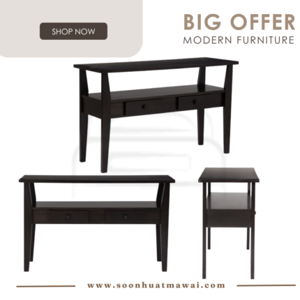 GASTON CONSOLE TABLE 117 (HINLIM)