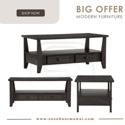 GASTON COFFEE TABLE 117 (HINLIM)