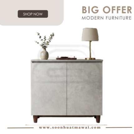 2730 2DOOR SHOES CABINET (MAYA)