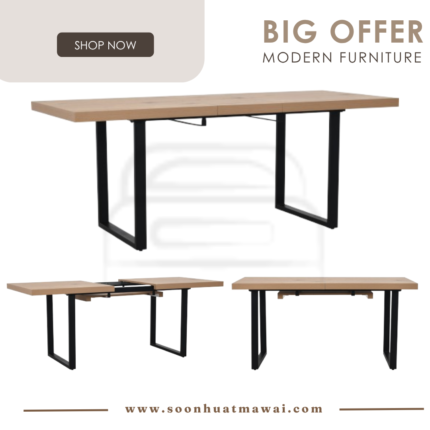 STALY 850X1600+400 EXT DINING TABLE 821/163 (HINLIM)