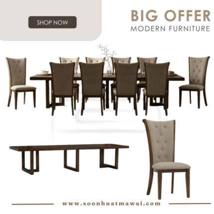149003/241742 1+10 ZORVEN DINING TABLE WITH SARIA DINING CHAIR (HINLIM)